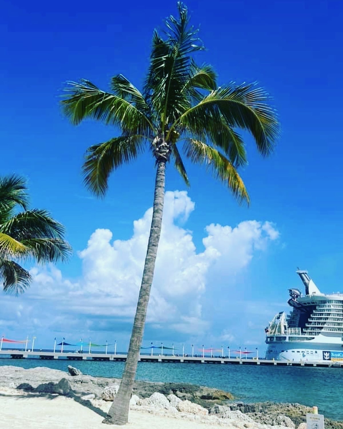 Cruise ship docked at a tropical port with palm trees
