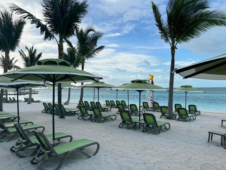 Beach lounge chairs with umbrellas and palm trees at a tropical resort