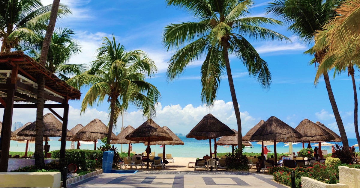 Beach with thatched umbrellas and palm trees at a Cancun resort in Mexico